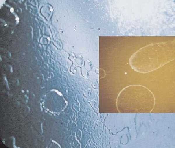 32 LỖI SƠN TIÊU CHUẨN NGÀNH (PHẦN 4 - CÁC LỖI DO ĐIỀU KIỆN MÔI TRƯỜNG) image 4